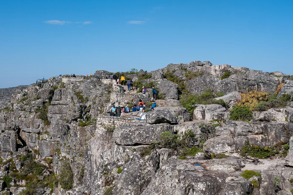 Table Mountain plateau, Cape Town (P1050368)