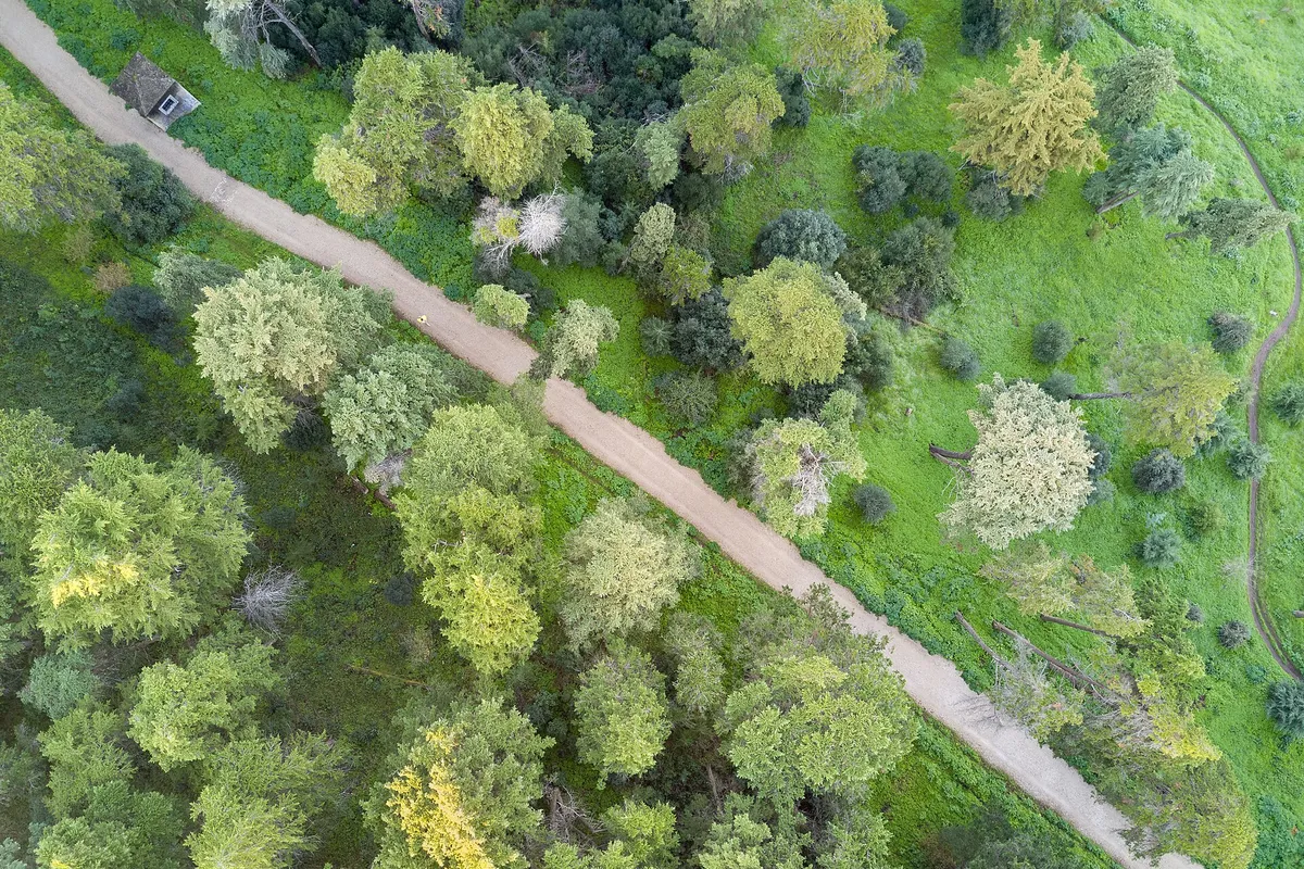 Aerial view of path and trees, Monsanto Forest Park, Lisbon, Portugal julesvernex2