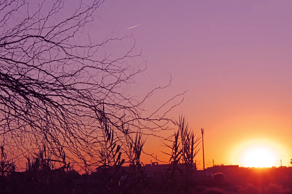 Marrakech sunset