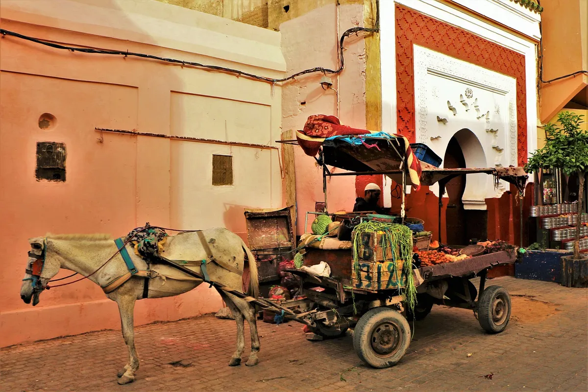 Marrakech, Morocco (18606447896)