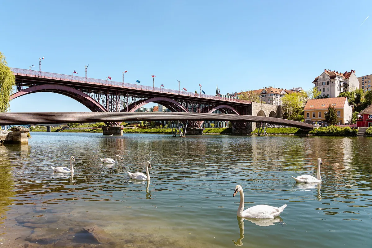 DSC06016 Splavarska Footbridge and Old Bridge in Maribor with Swans, 2026-05