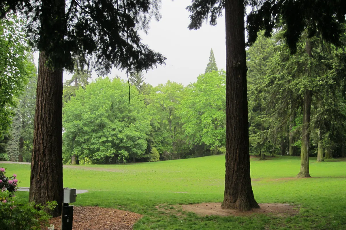 Laurelhust Park dog off-leash area, Portland, May 21, 2012