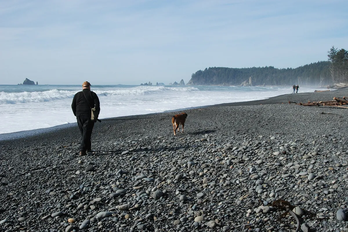 Visitor walking dog leash rialto beach hikers c bubar march 06-2015 (17184427098)