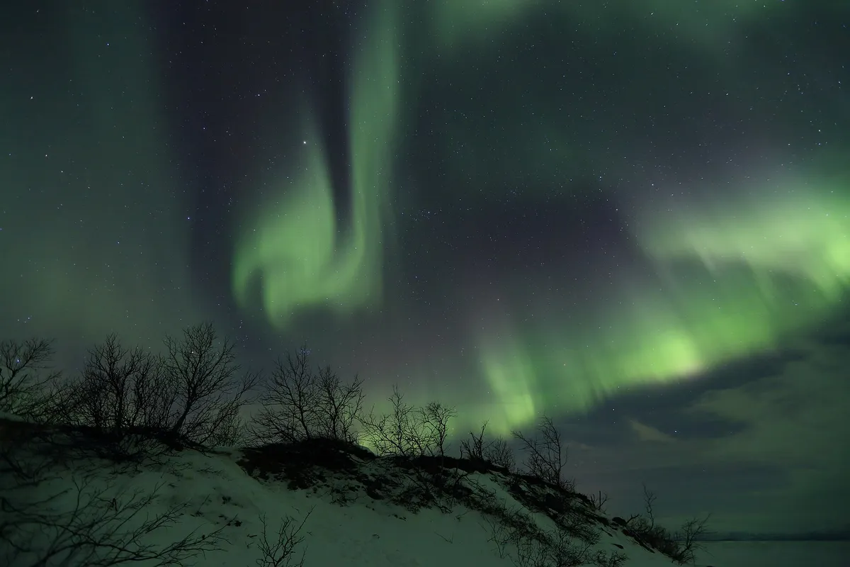 Aurora in Abisko near Torneträsk