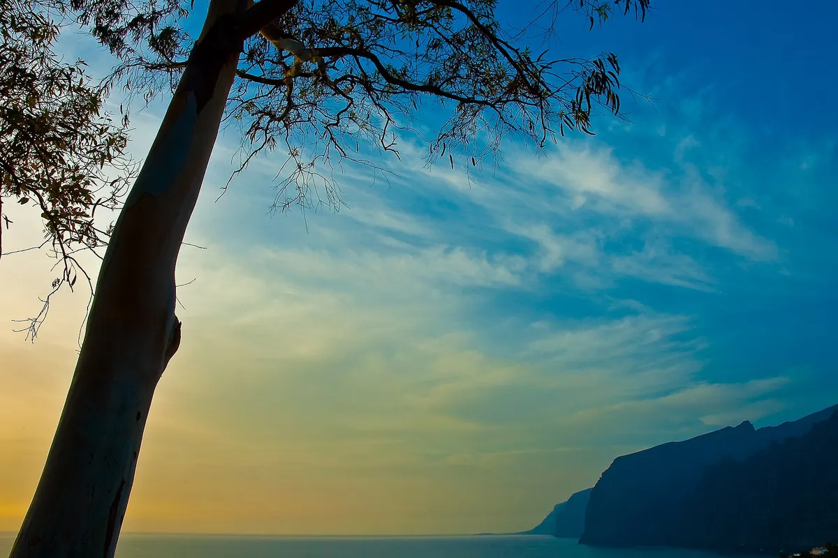 Los Gigantes Tenerife with cliffs