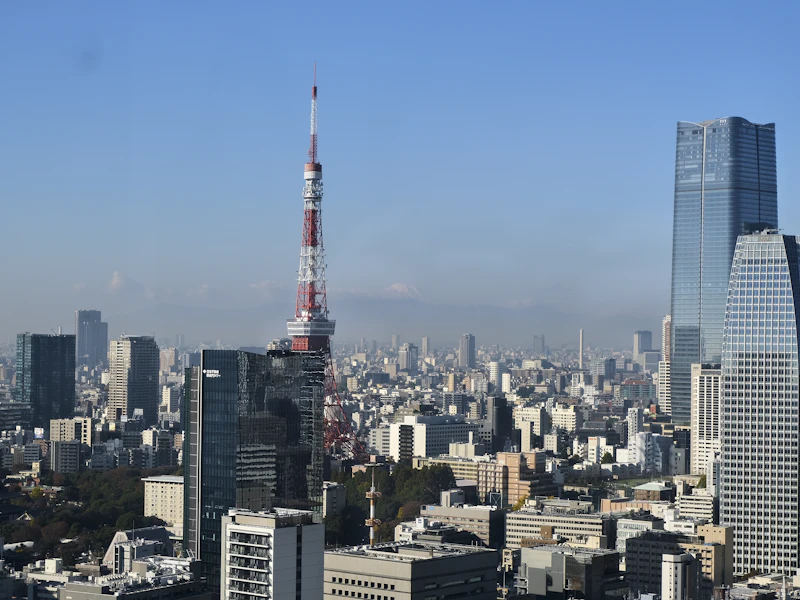 Tokyo, Giappone